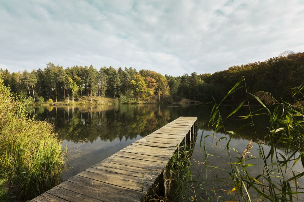 Beautiful Landscape Mother Nature 1024x683